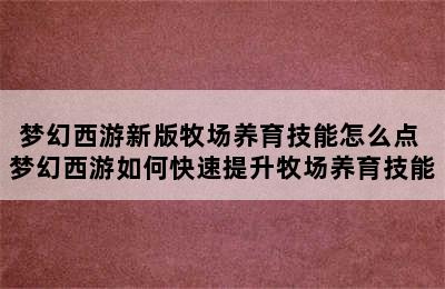 梦幻西游新版牧场养育技能怎么点 梦幻西游如何快速提升牧场养育技能